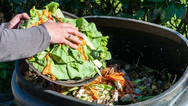 Reducing Food Waste