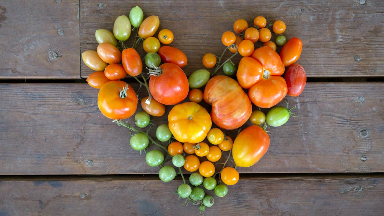 FPH_tomato_heart_222390970