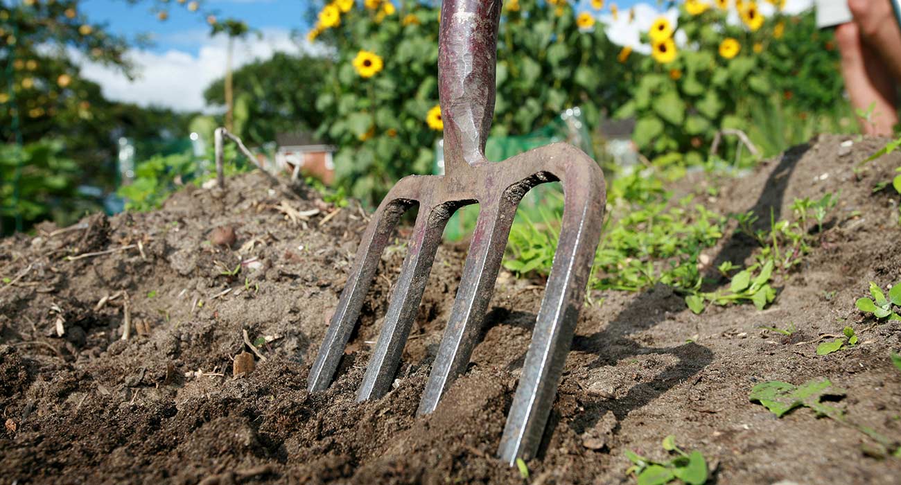 FP_getinvolved_banner_309545528