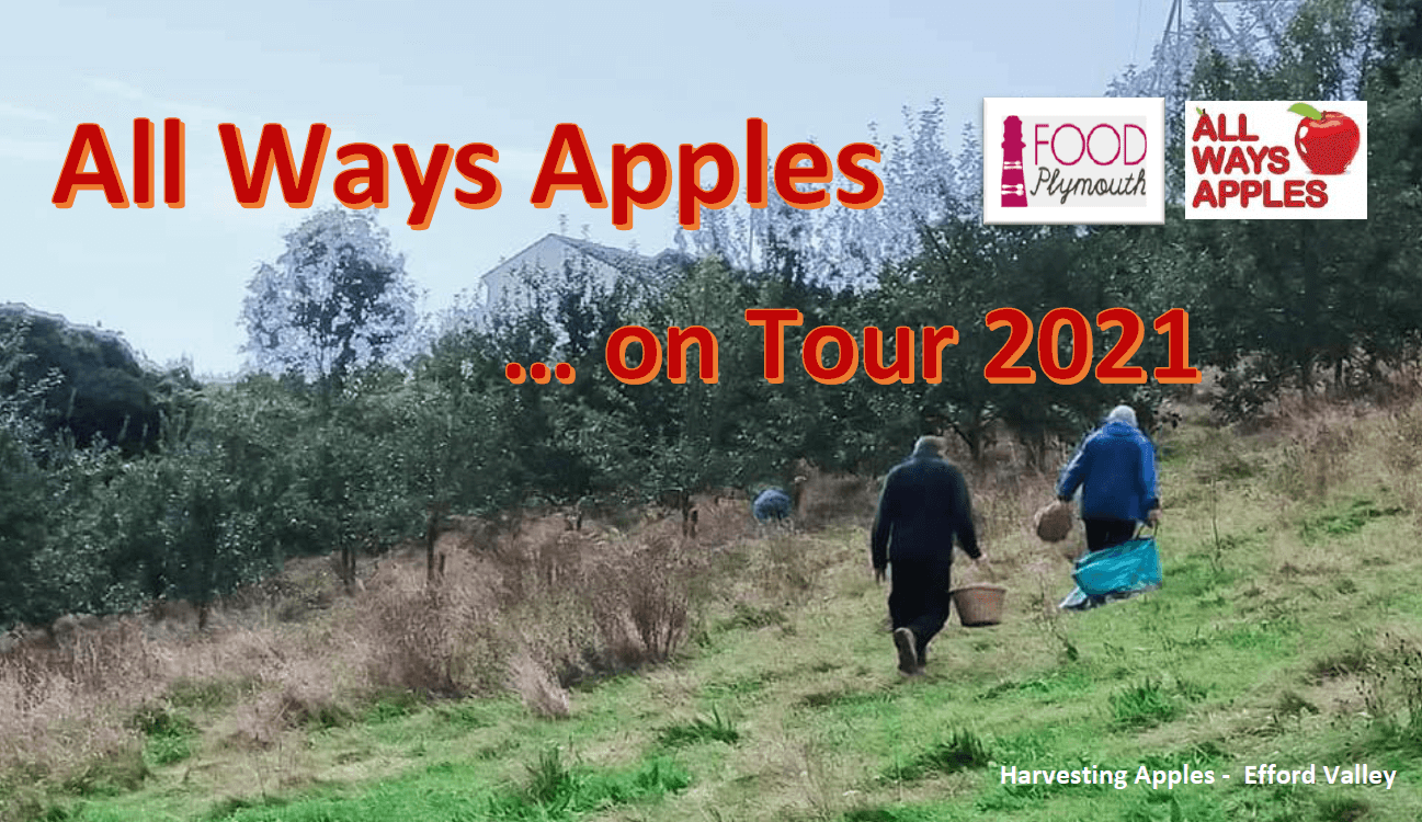 All Ways Apples on Tour 2021
