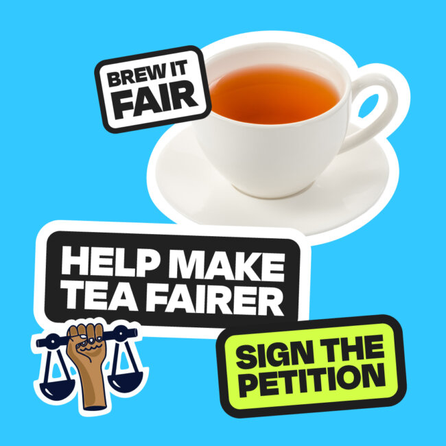 515314387_1131195439055603_5102355849702440359_n